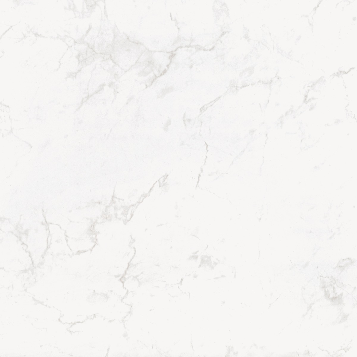 Matte Finish  GFT FT Alps Grey  Ceramic tile 600x600 mm