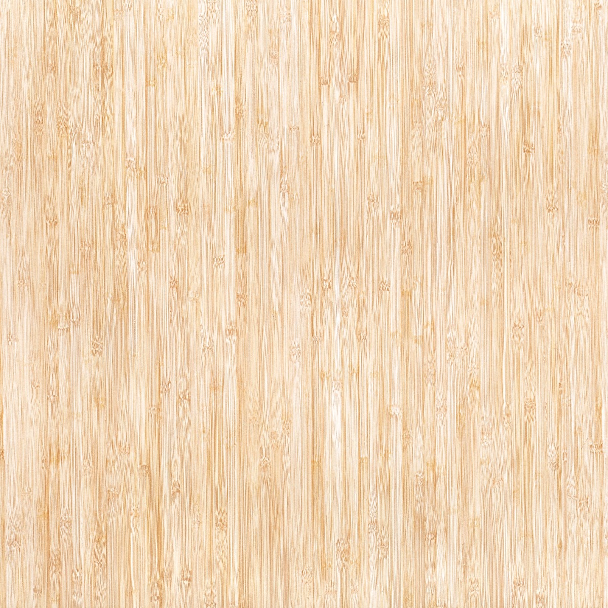 Matte Finish GFT FT Bambo   Ceramic tile 600x600 mm