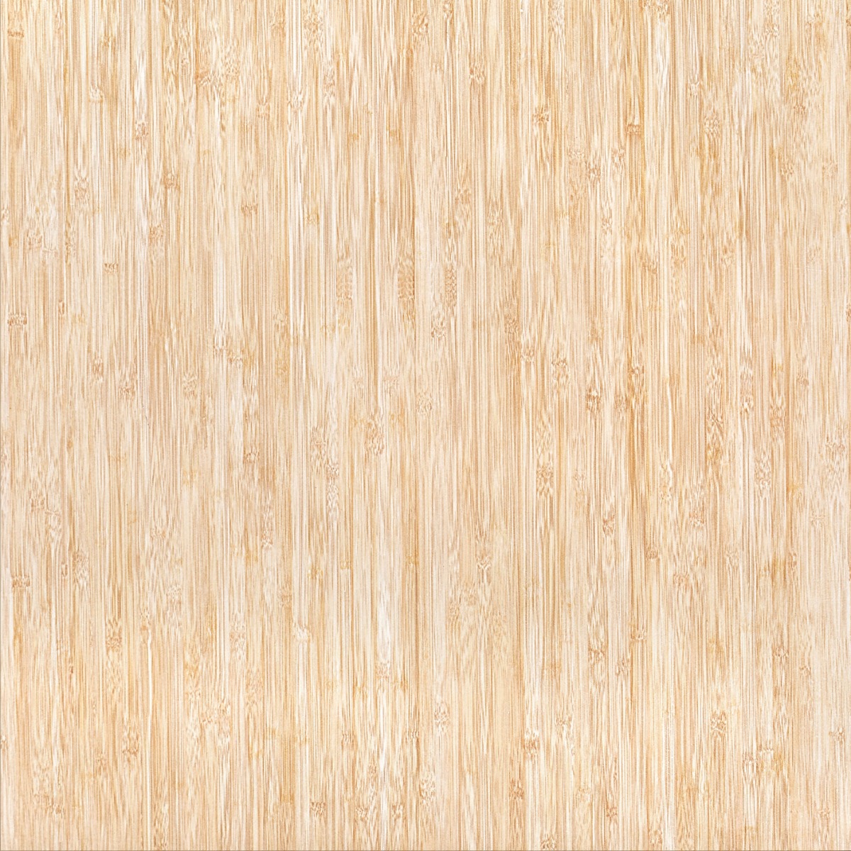 Matte Finish GFT FT Bambo   Ceramic tile 600x600 mm