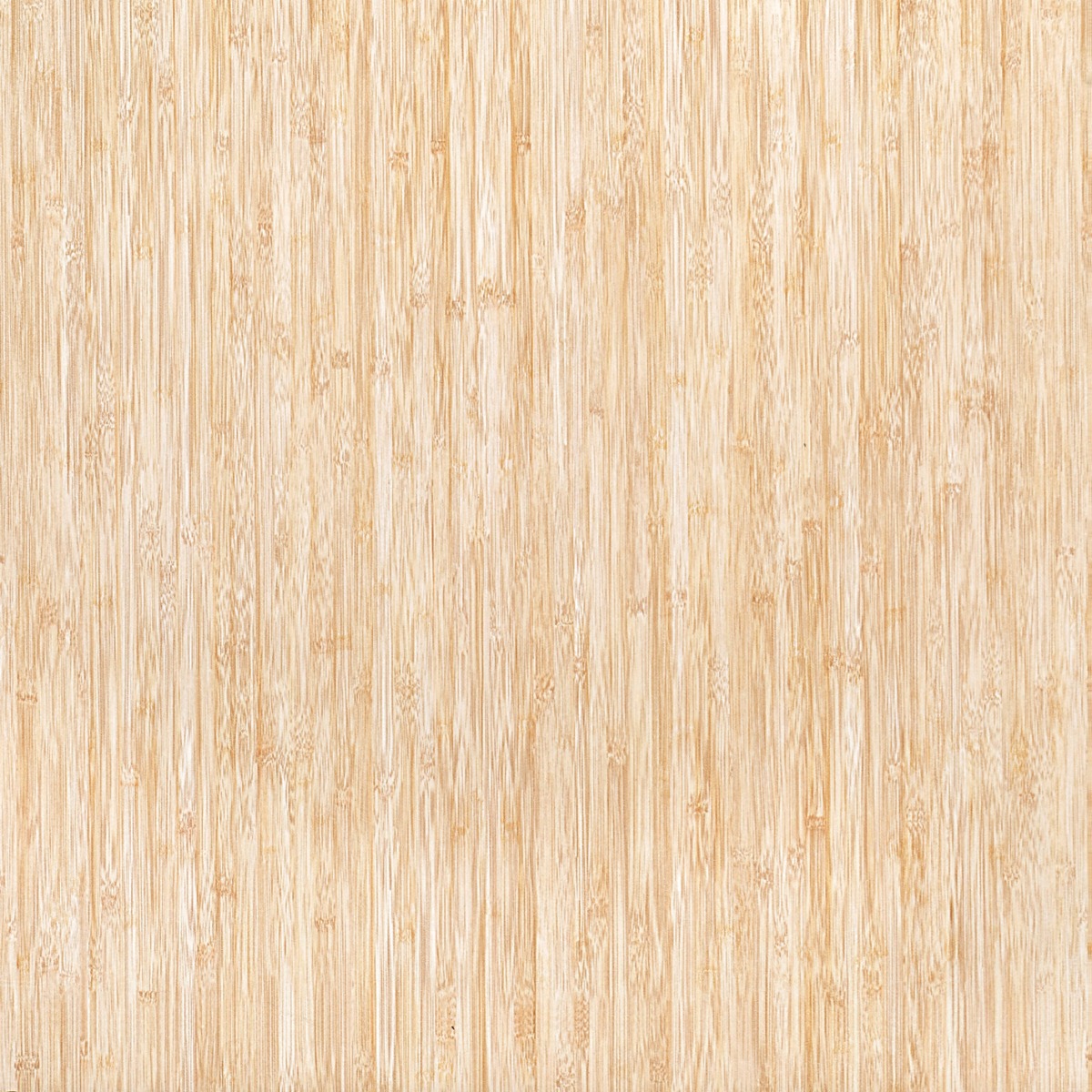 Matte Finish GFT FT Bambo   Ceramic tile 600x600 mm