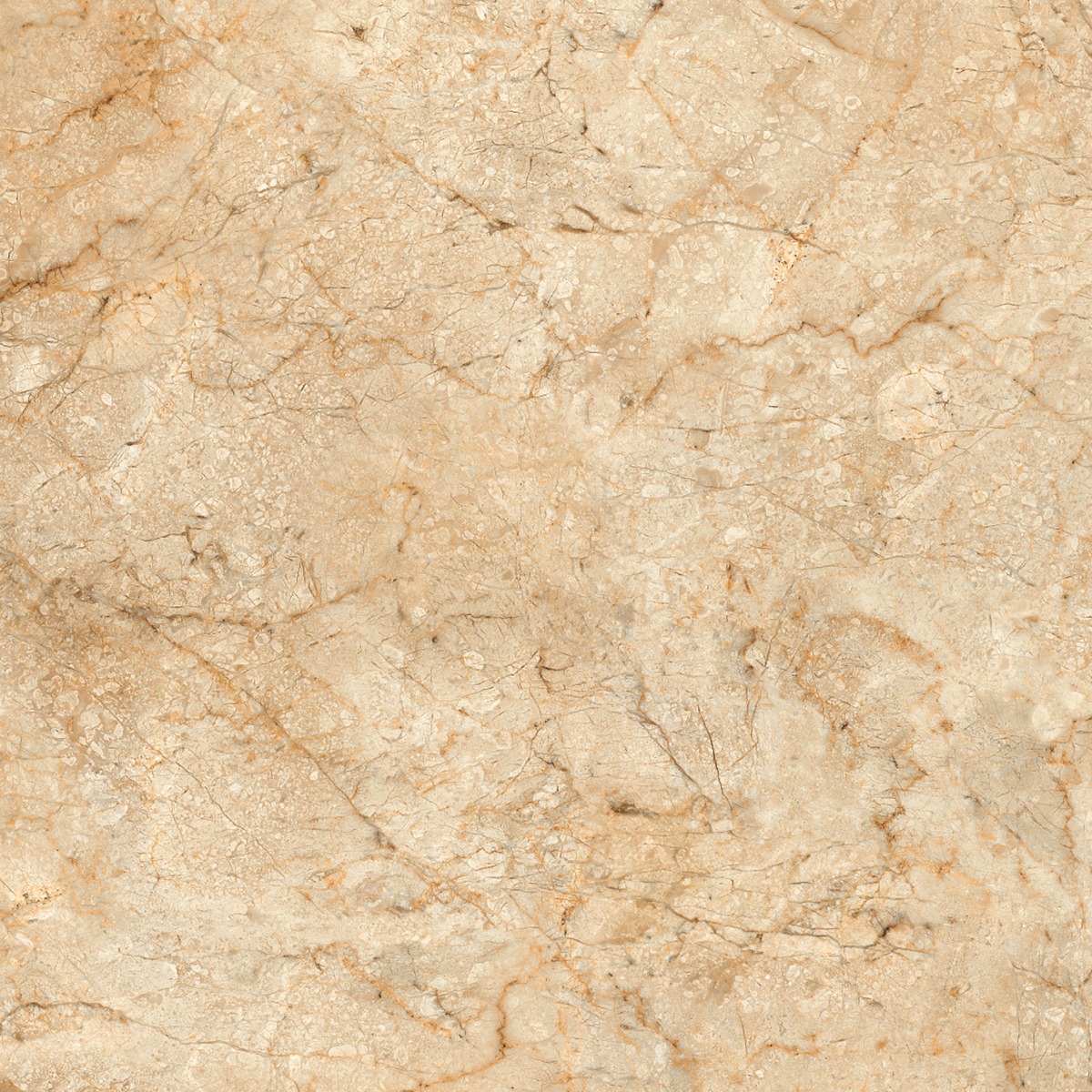Matte Finish  GFT FT Morris Beige  Ceramic tile 600x600 mm