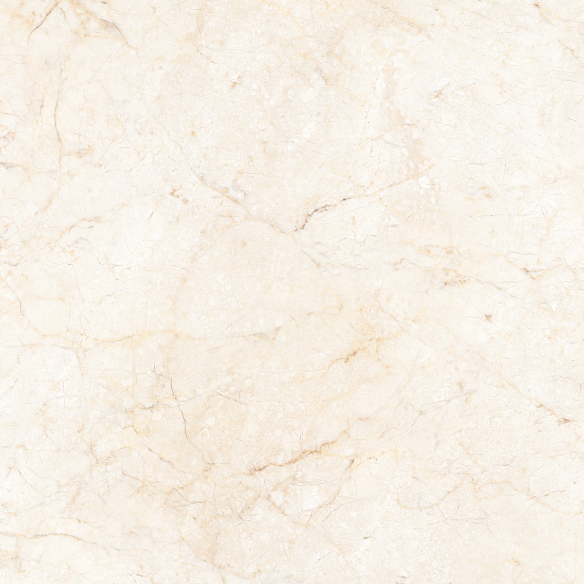 Matte Finish  GFT FT Morris Crema  Ceramic tile 600x600 mm