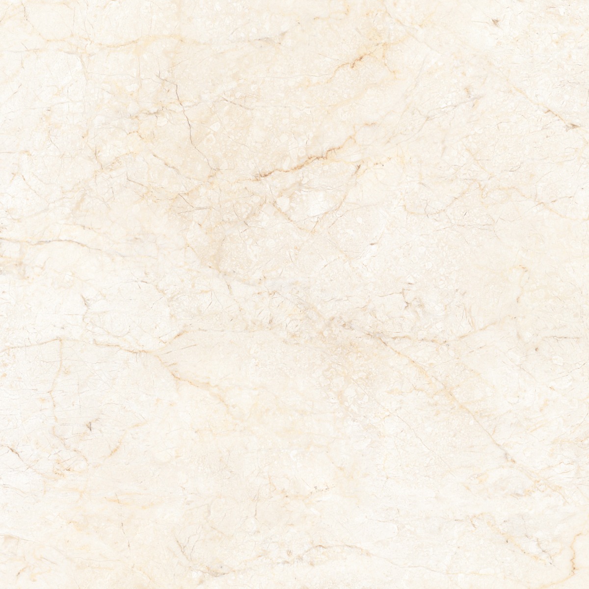 Matte Finish  GFT FT Morris Crema  Ceramic tile 600x600 mm