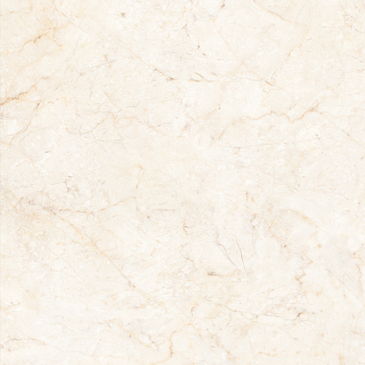 Matte Finish  GFT FT Morris Crema  Ceramic tile 600x600 mm