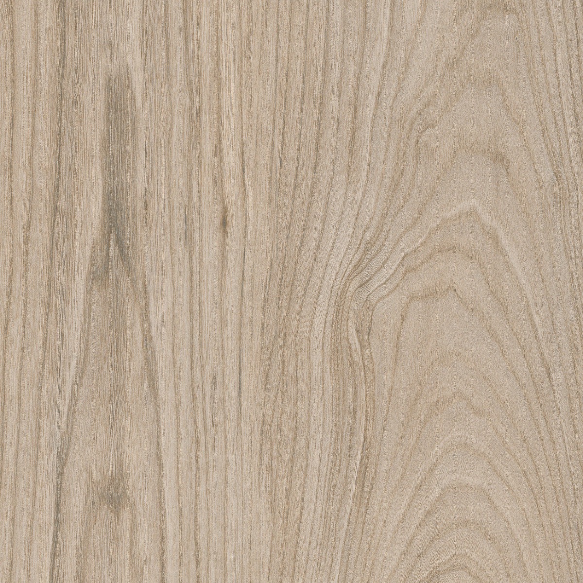 Matte Finish ODP Ebano Beige FT Ceramic tile 600x600 mm