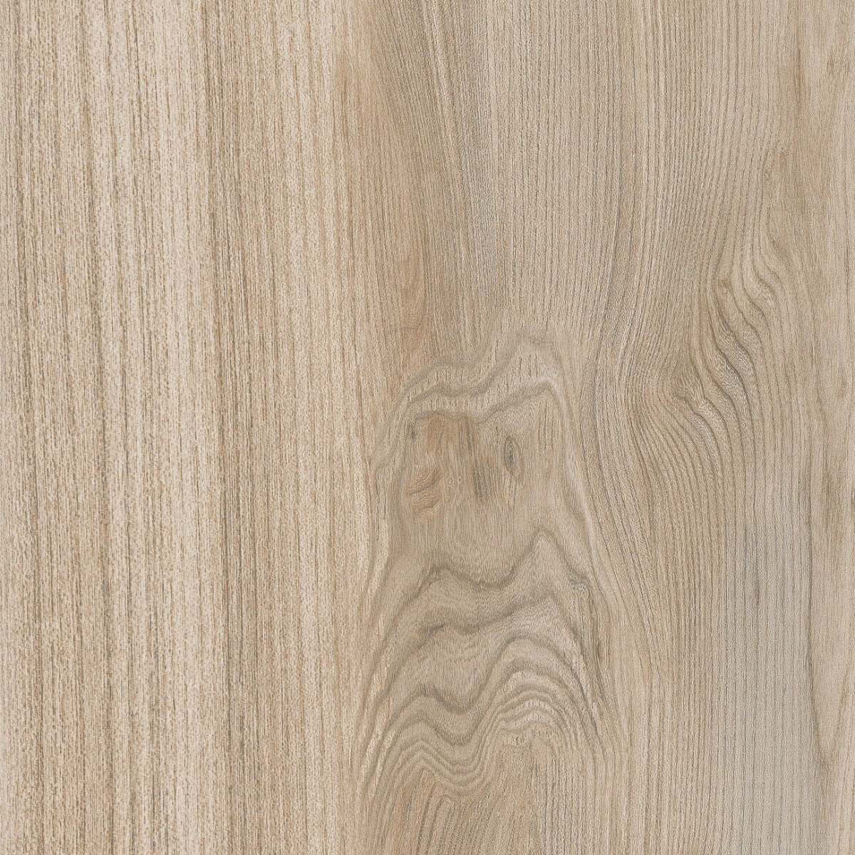 Matte Finish ODP Ebano Beige FT Ceramic tile 600x600 mm