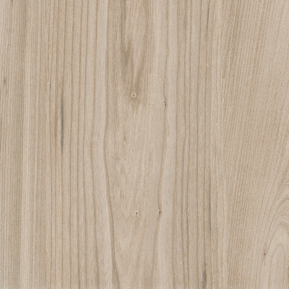 Matte Finish ODP Ebano Beige FT Ceramic tile 600x600 mm