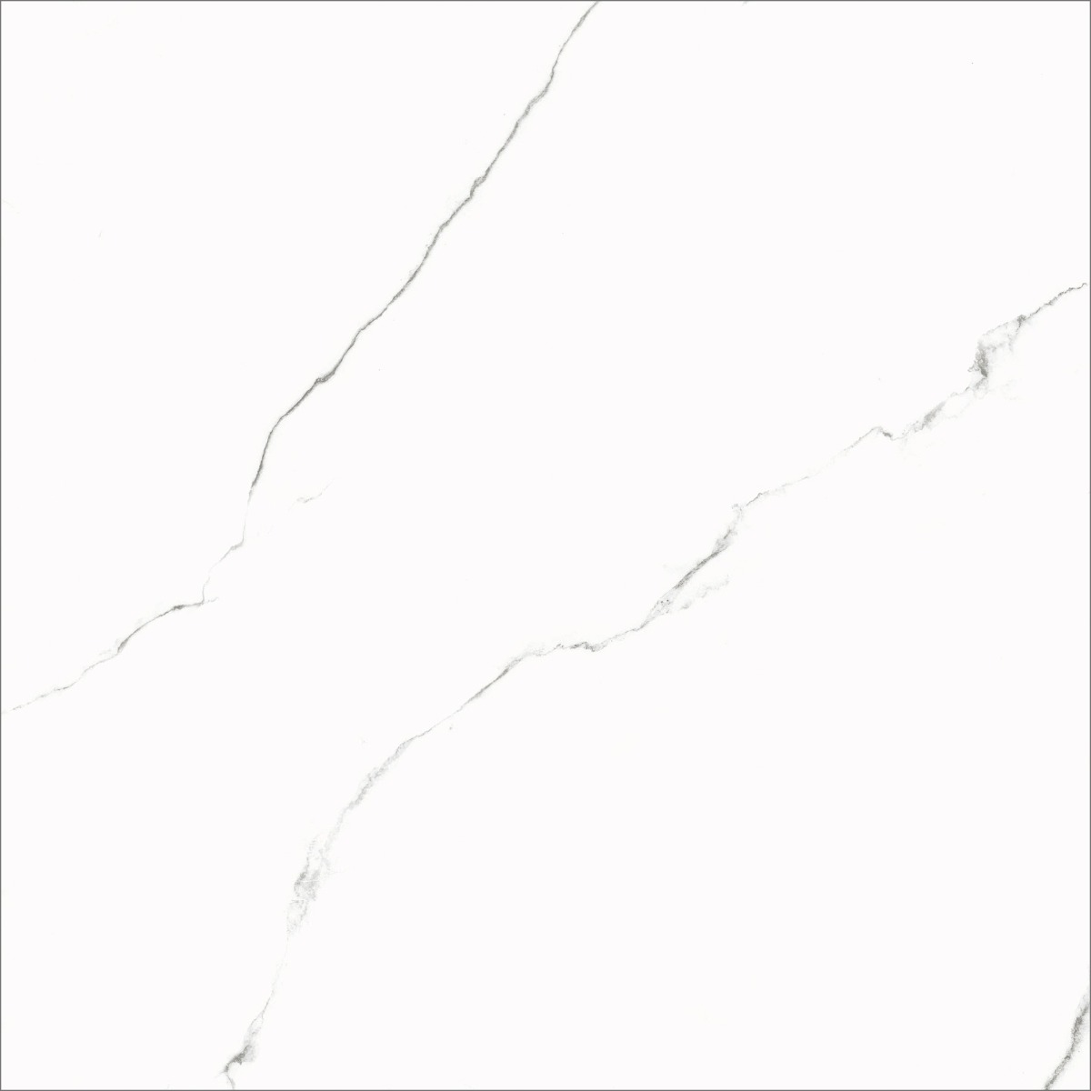 Matte Finish  GFT ODP Statuario FT   Ceramic tile 600x600 mm