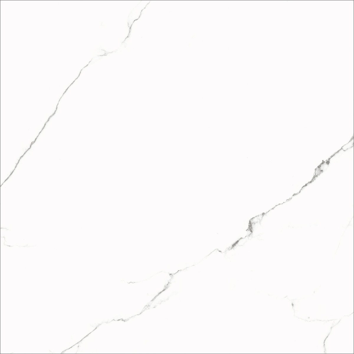 Matte Finish  GFT ODP Statuario FT   Ceramic tile 600x600 mm