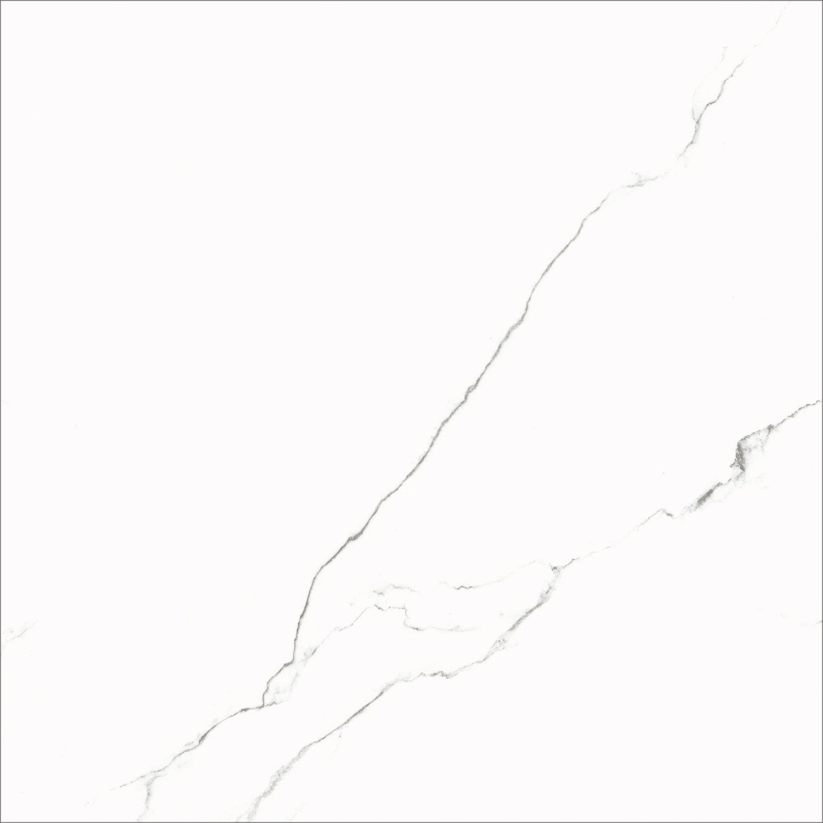 Matte Finish  GFT ODP Statuario FT   Ceramic tile 600x600 mm