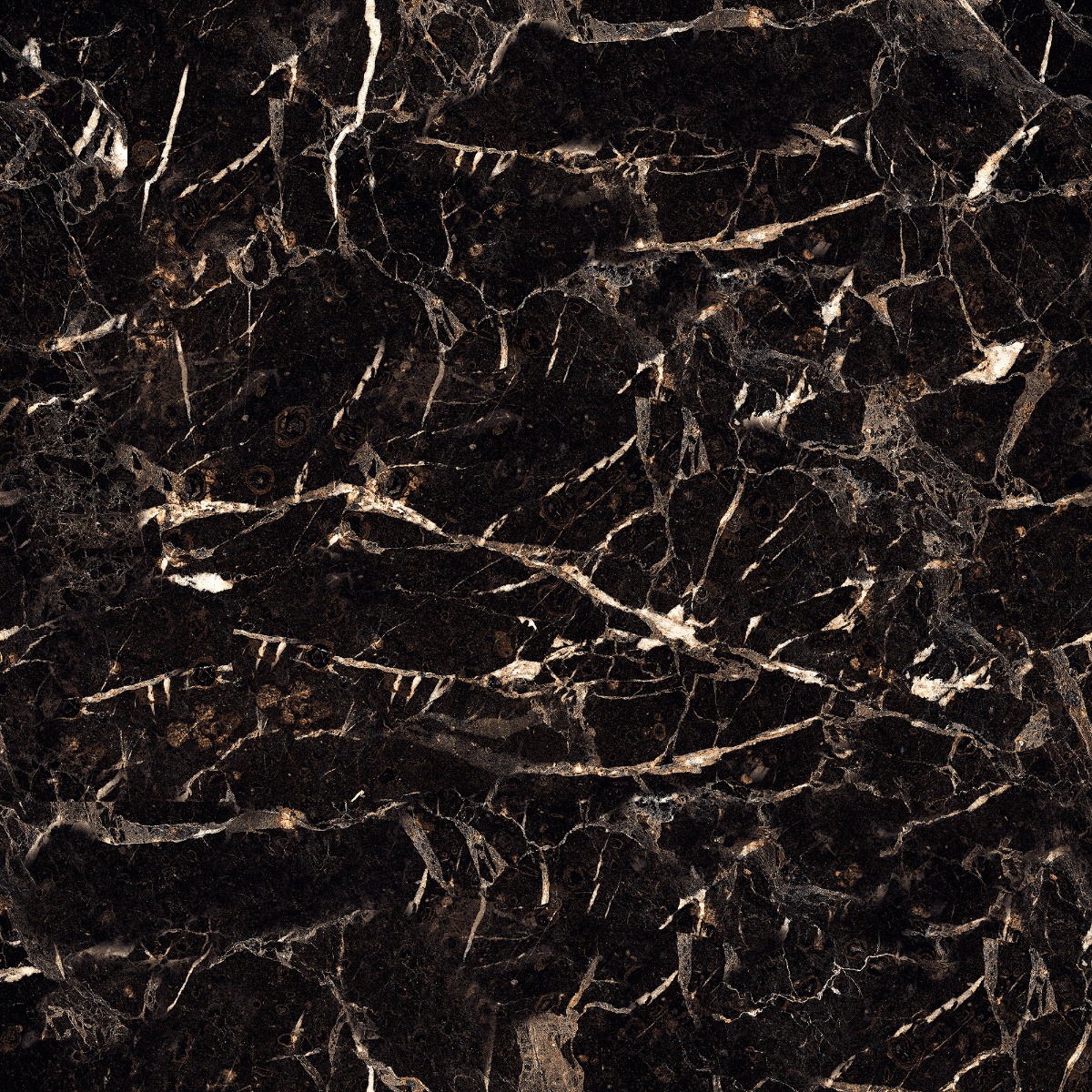 Glossy Finish PCG Spider Black Granite Glazed Vitrified Tiles 600x600 mm