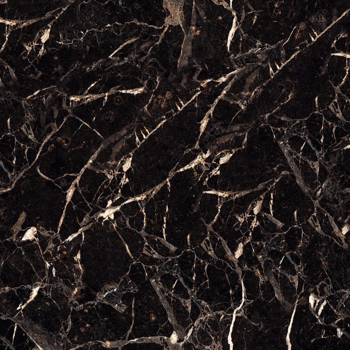 Glossy Finish PCG Spider Black Granite Glazed Vitrified Tiles 600x600 mm