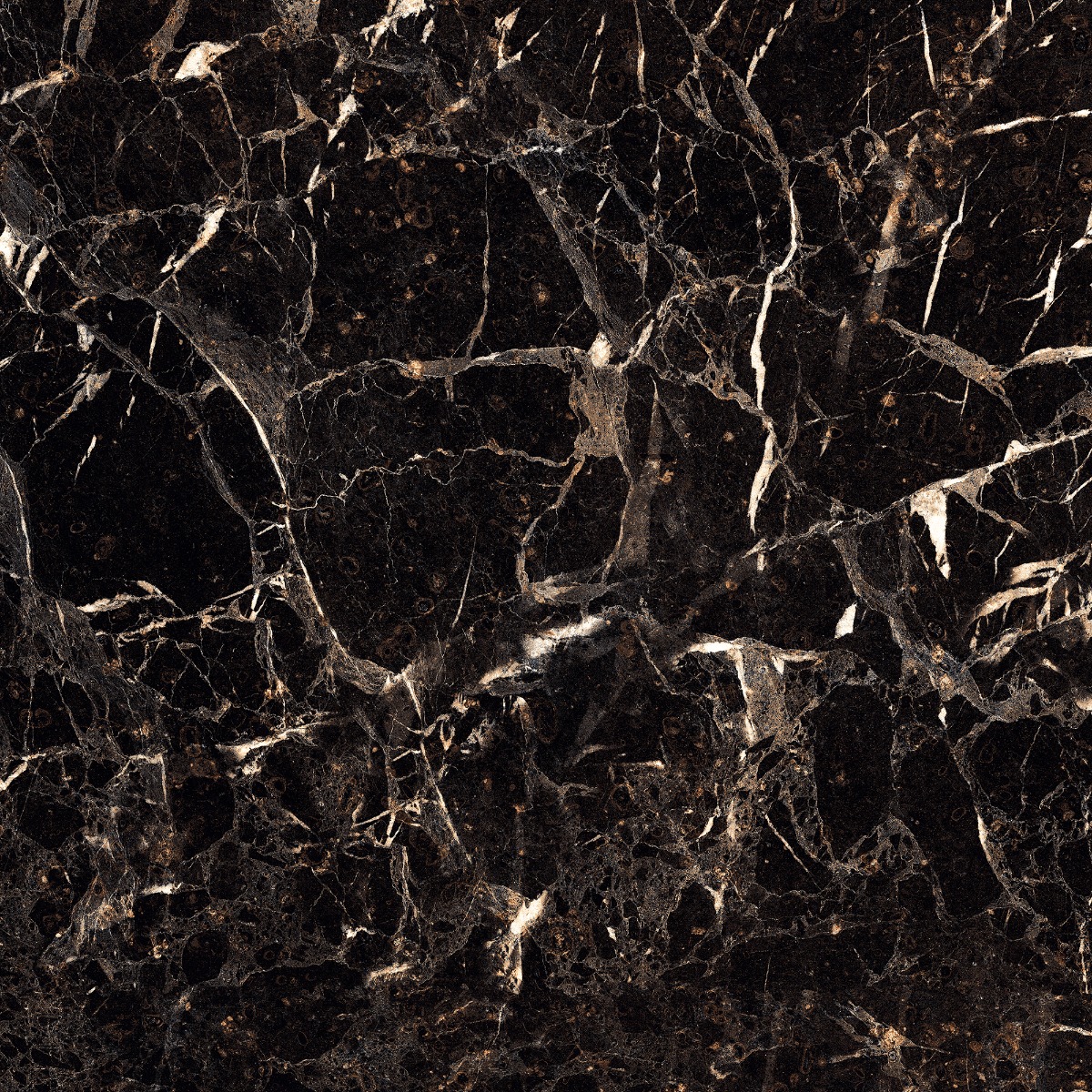 Glossy Finish PCG Spider Black Granite Glazed Vitrified Tiles 600x600 mm