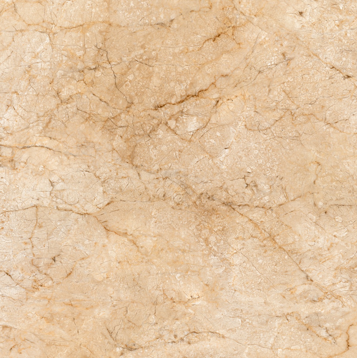 Matte Finish ODF Morris Beige FT Ceramic tile 600x600 mm