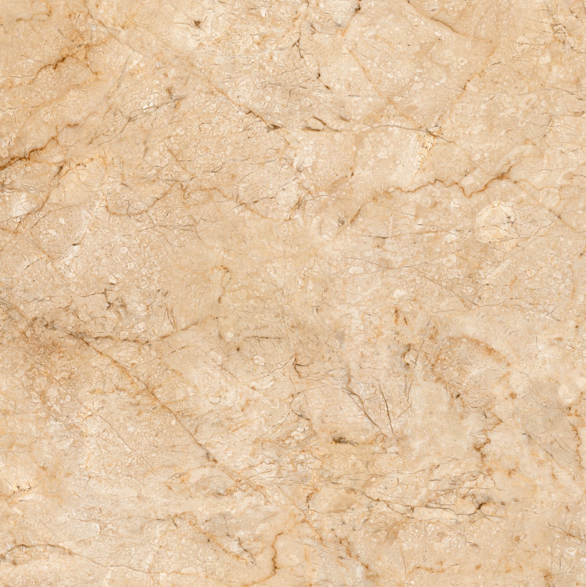 Matte Finish ODF Morris Beige FT Ceramic tile 600x600 mm