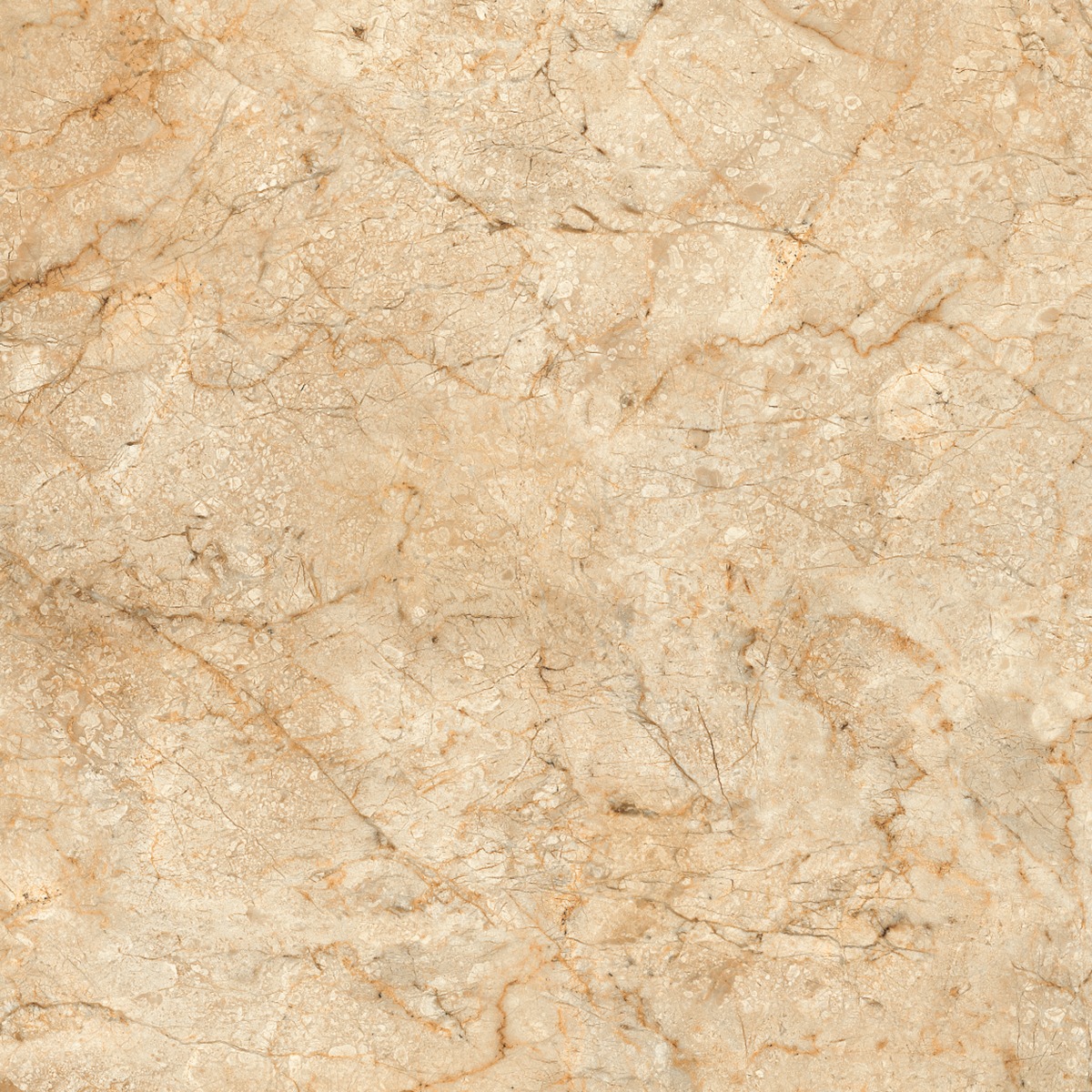 Matte Finish ODF Morris Beige FT Ceramic tile 600x600 mm