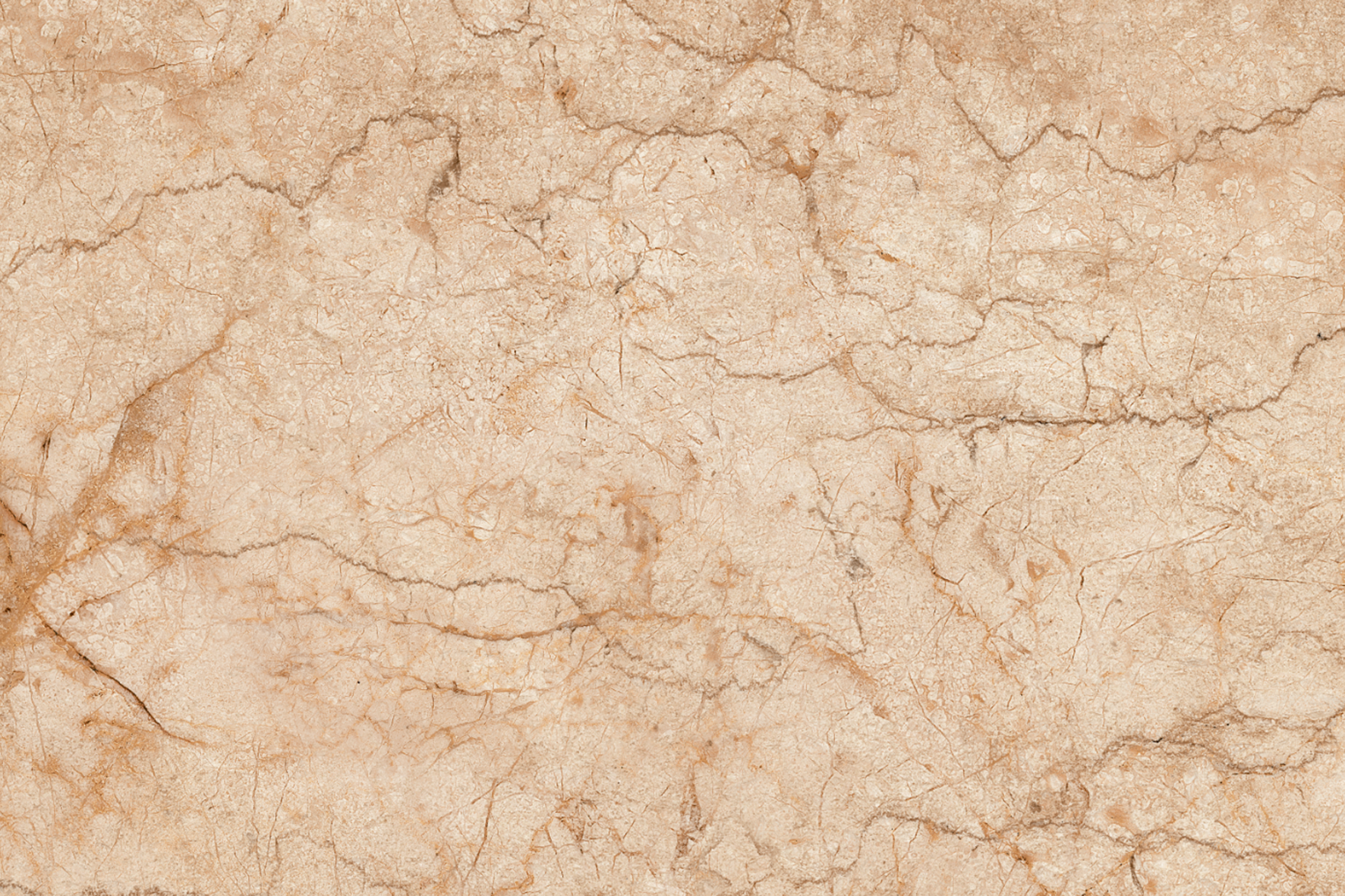 Glossy Finish ODG Accent Brown Ceramic tile 300x450 mm