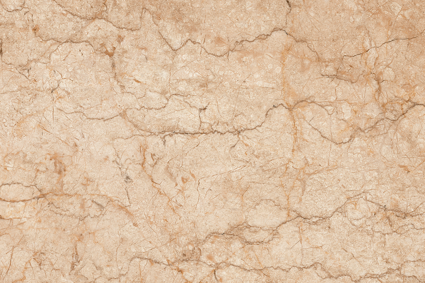 Glossy Finish ODG Accent Brown Ceramic tile 300x450 mm