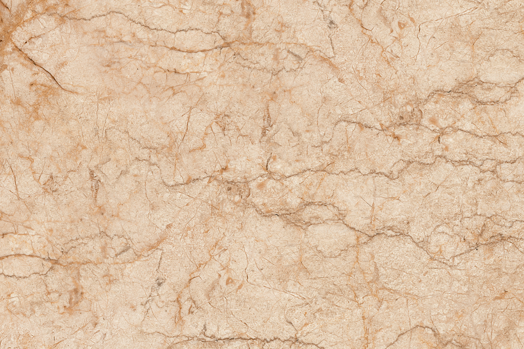 Glossy Finish ODG Accent Brown Ceramic tile 300x450 mm