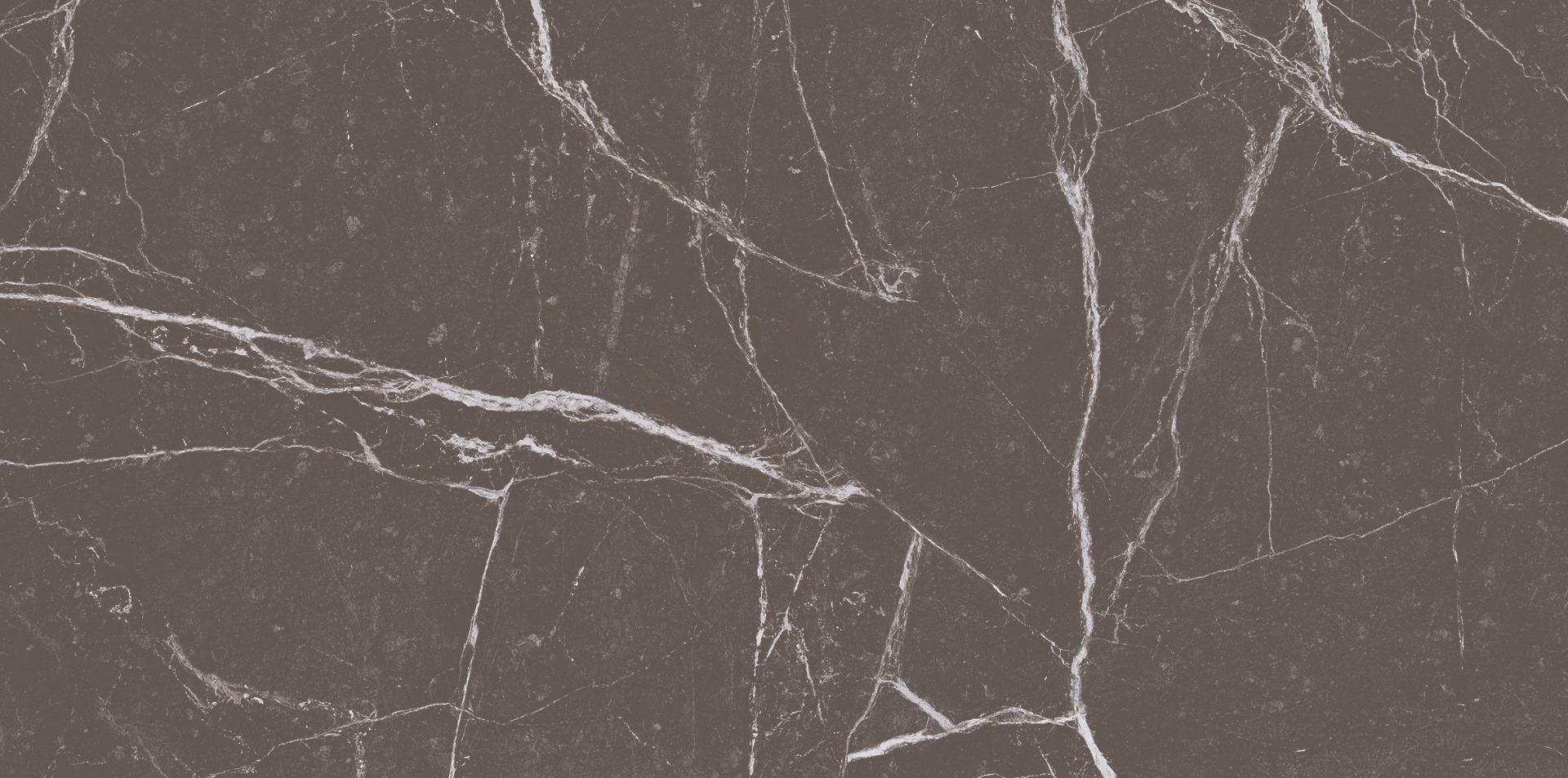 Glossy Finish ODG Grigio Marble Dark Ceramic tile 300x600 mm