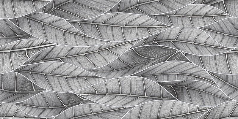 Glossy Finish ODG Leaves Grey DK Ceramic tile 300x600 mm