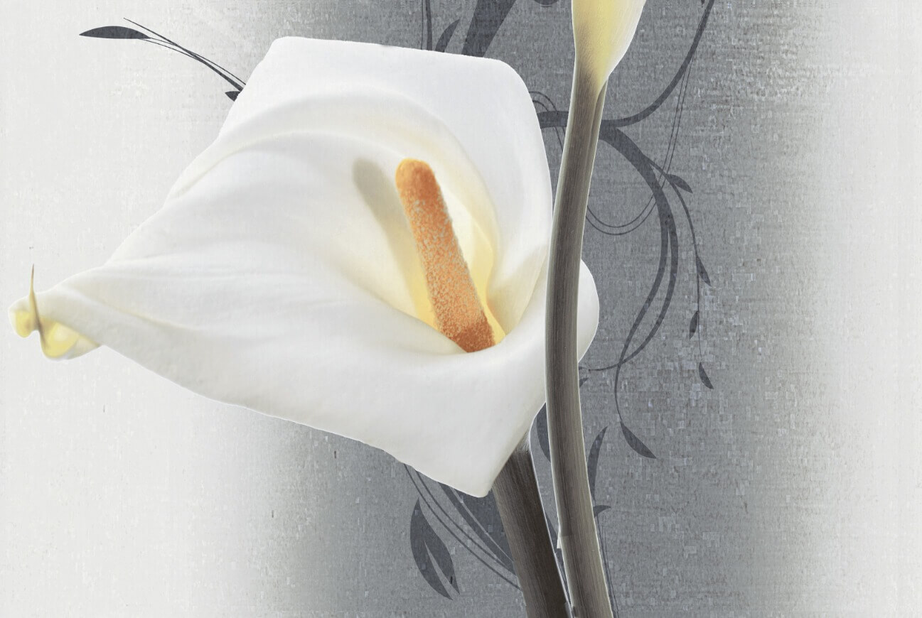 Glossy Finish ODH Lily Bottom HL Ceramic tile 300x450 mm
