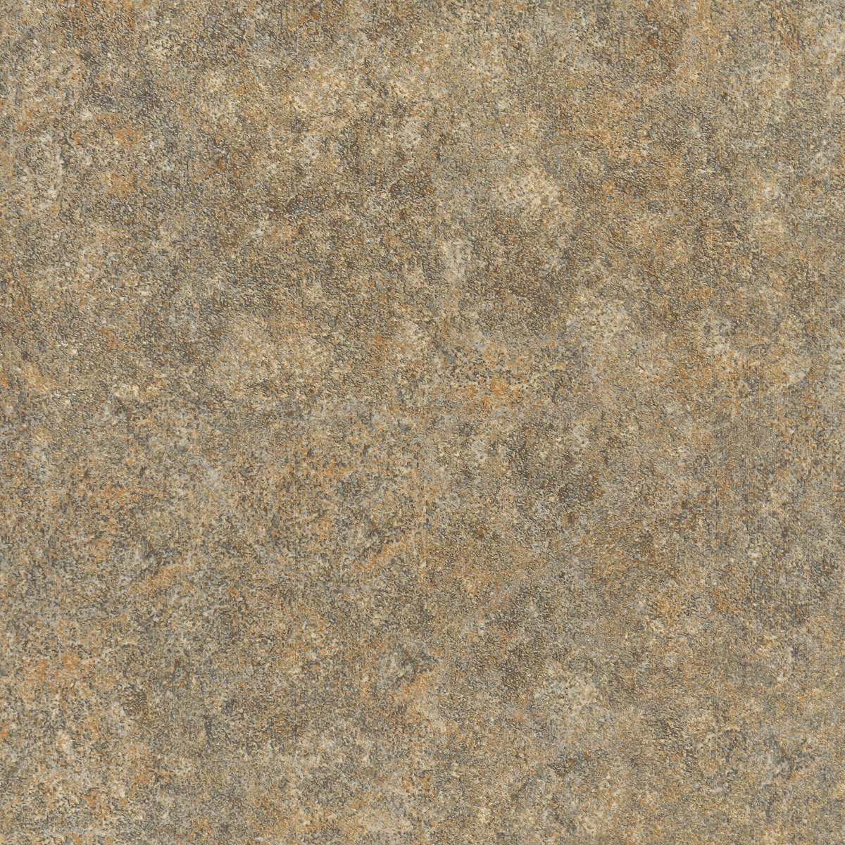 ODM Vesta Brown