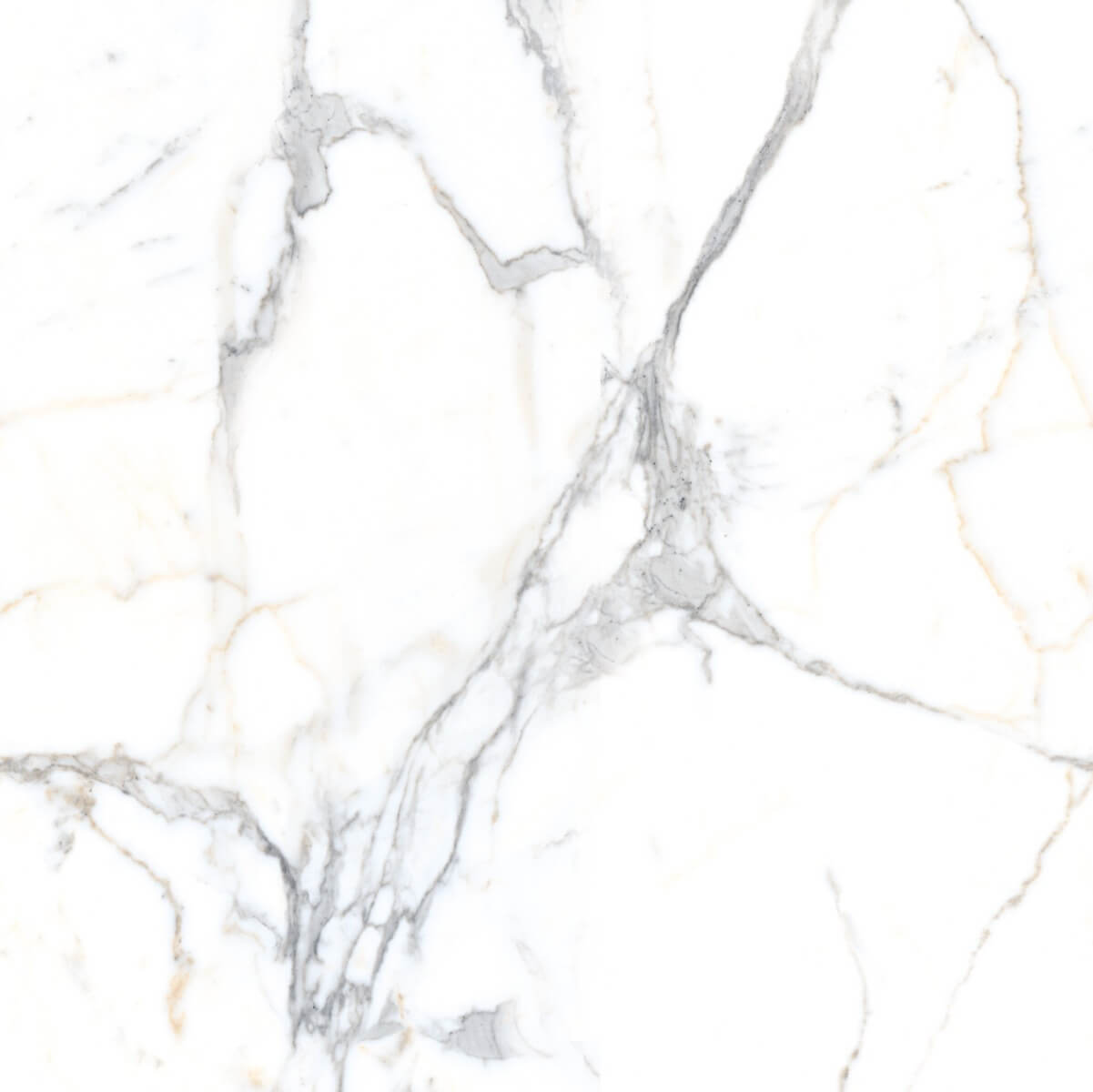 Glossy Finish PCG Carrara Venato Marble Glazed Vitrified Tiles Floor Tiles