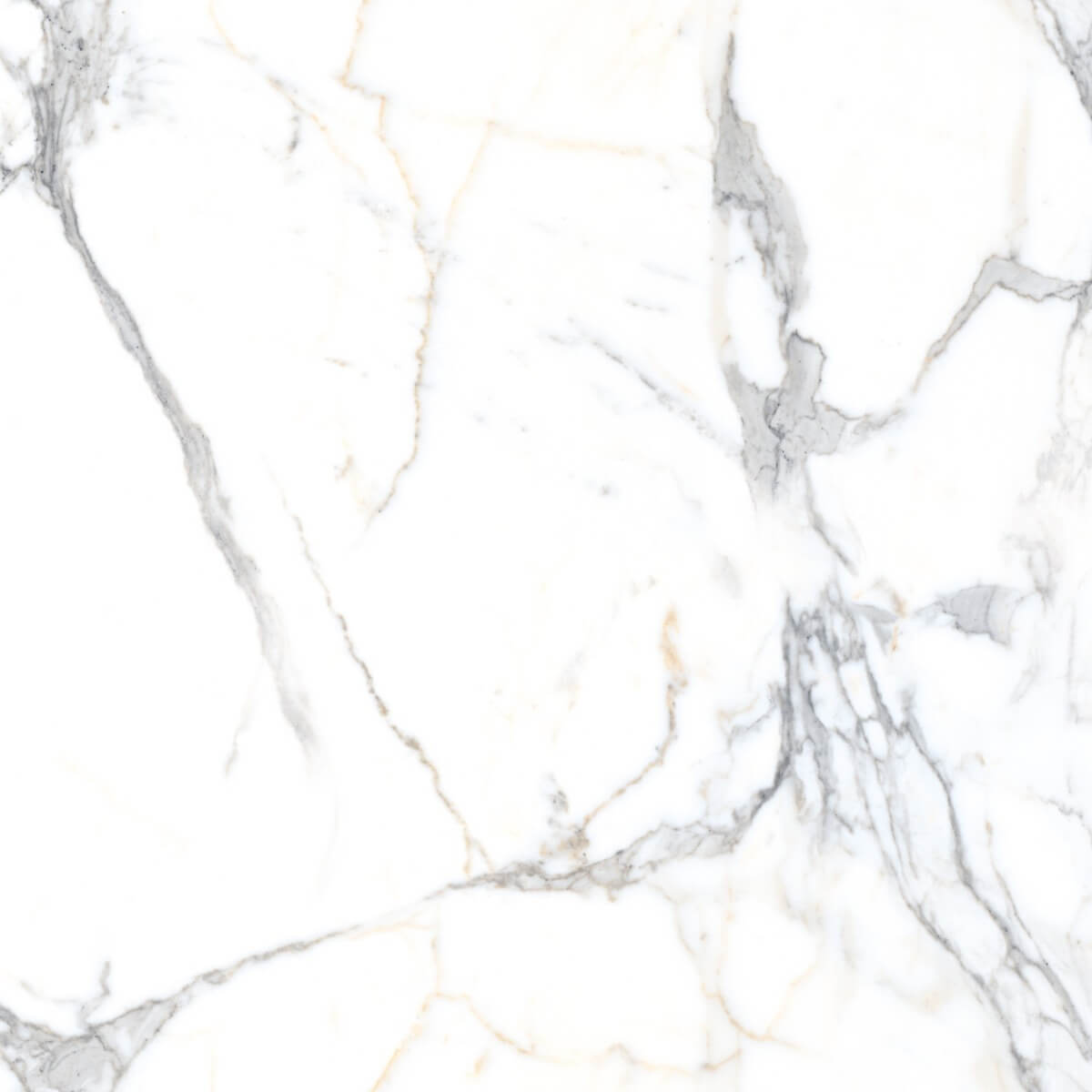 Glossy Finish PCG Carrara Venato Marble Glazed Vitrified Tiles Floor Tiles