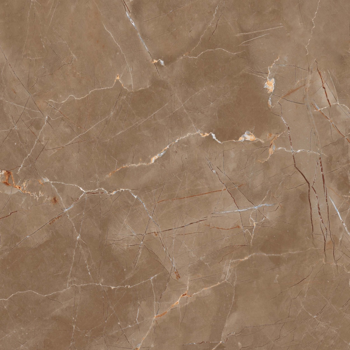 Glossy Finish PGVT Armani Marble Brown Glazed Vitrified Tiles 600x600 mm