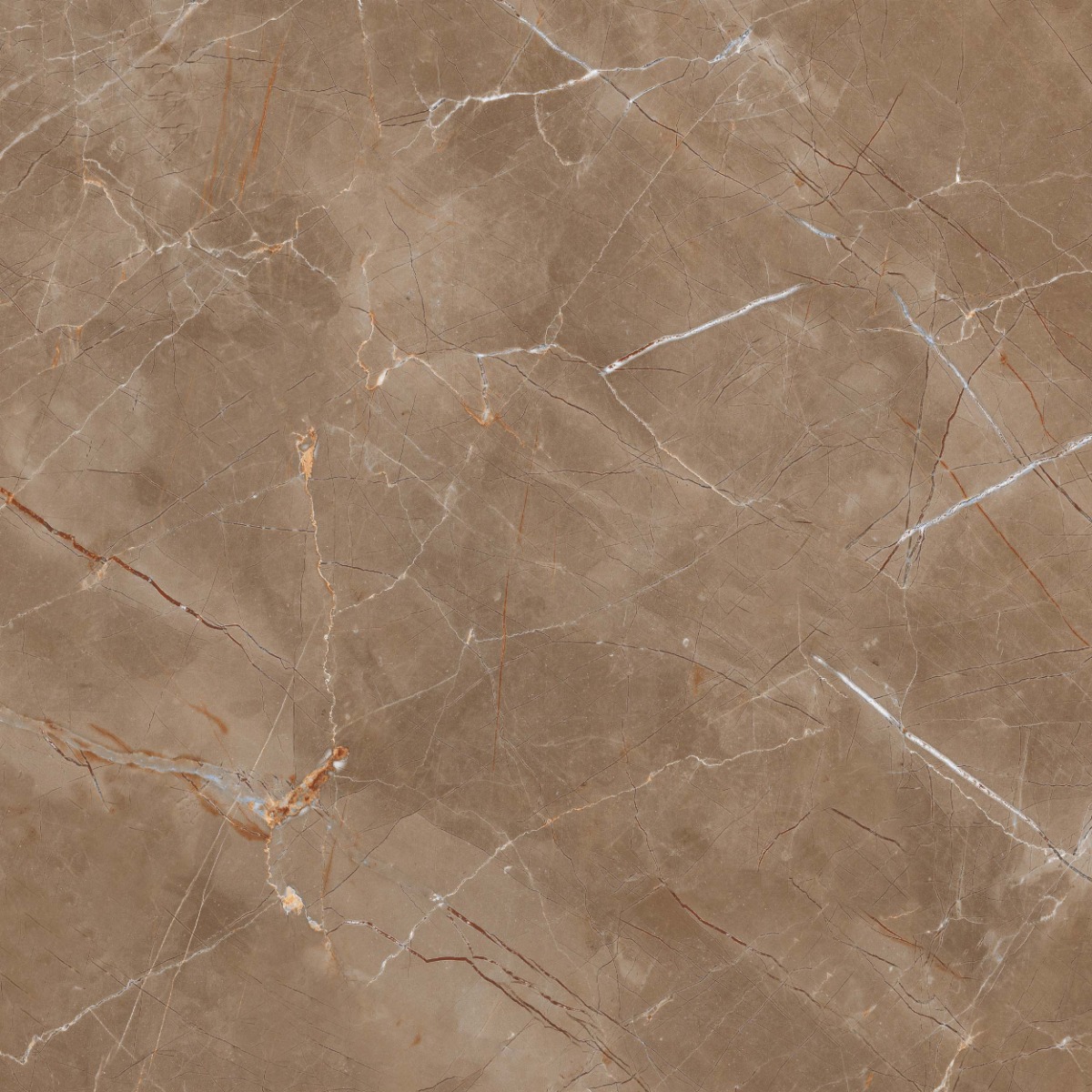 Glossy Finish PGVT Armani Marble Brown Glazed Vitrified Tiles 600x600 mm