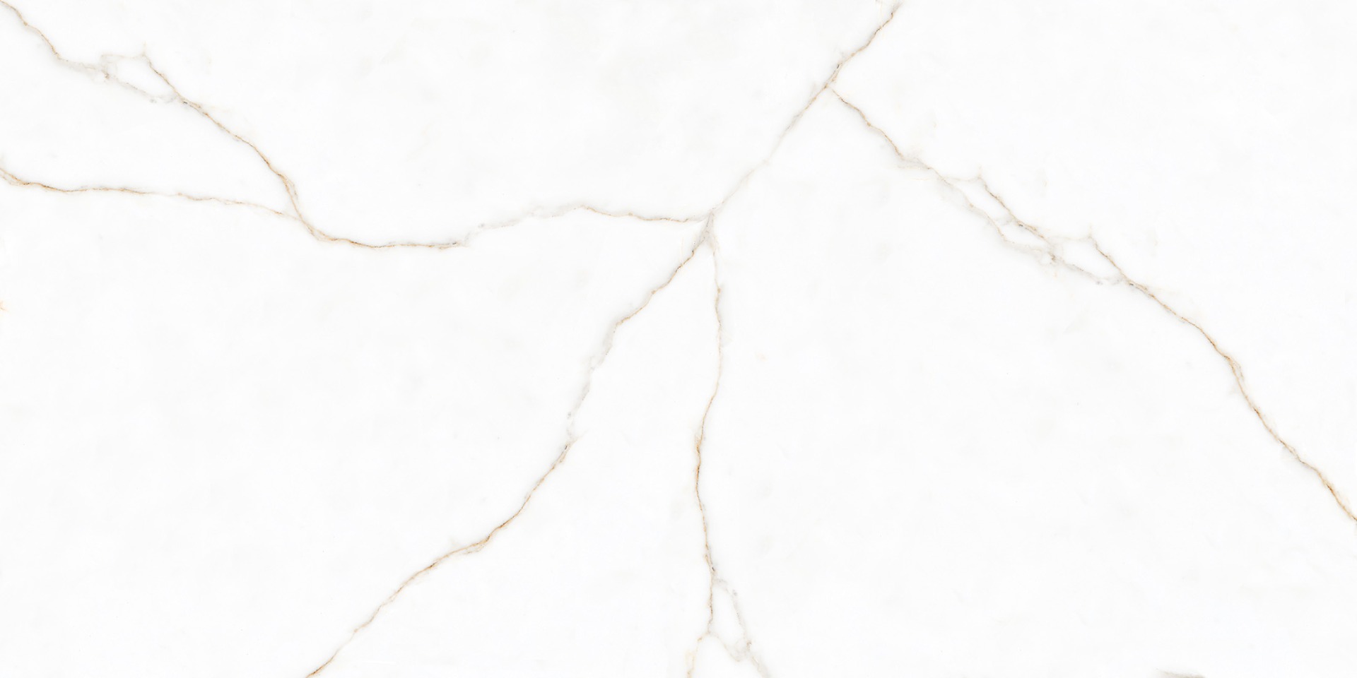 Glossy Finish PGVT Calcutta Gold Veins Marble Glazed Vitrified Tiles 600x1200 mm
