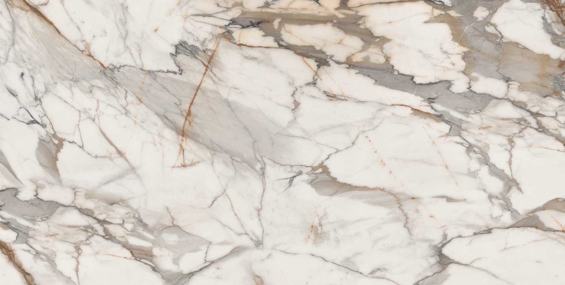 Glossy Finish PGVT Dramatic Calacatta Marble Glazed Vitrified Tiles 600x1200 mm