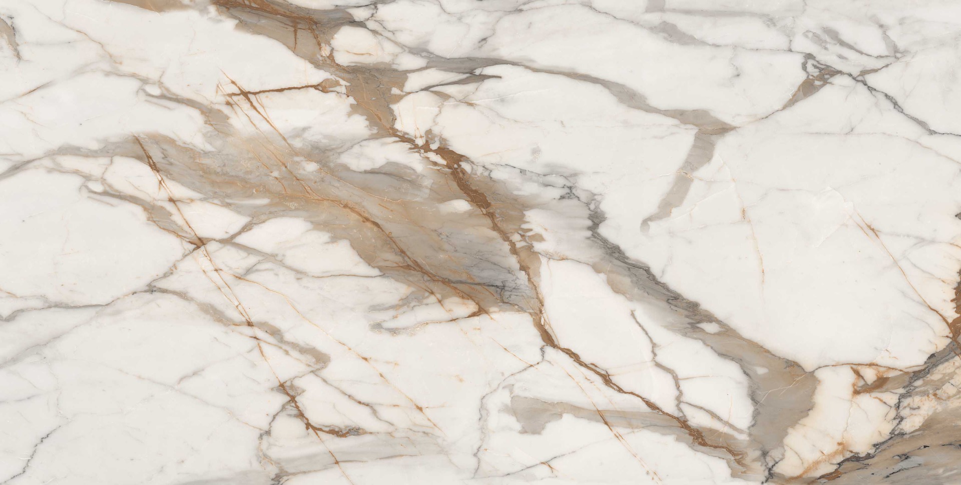Glossy Finish PGVT Dramatic Calacatta Marble Glazed Vitrified Tiles 600x1200 mm