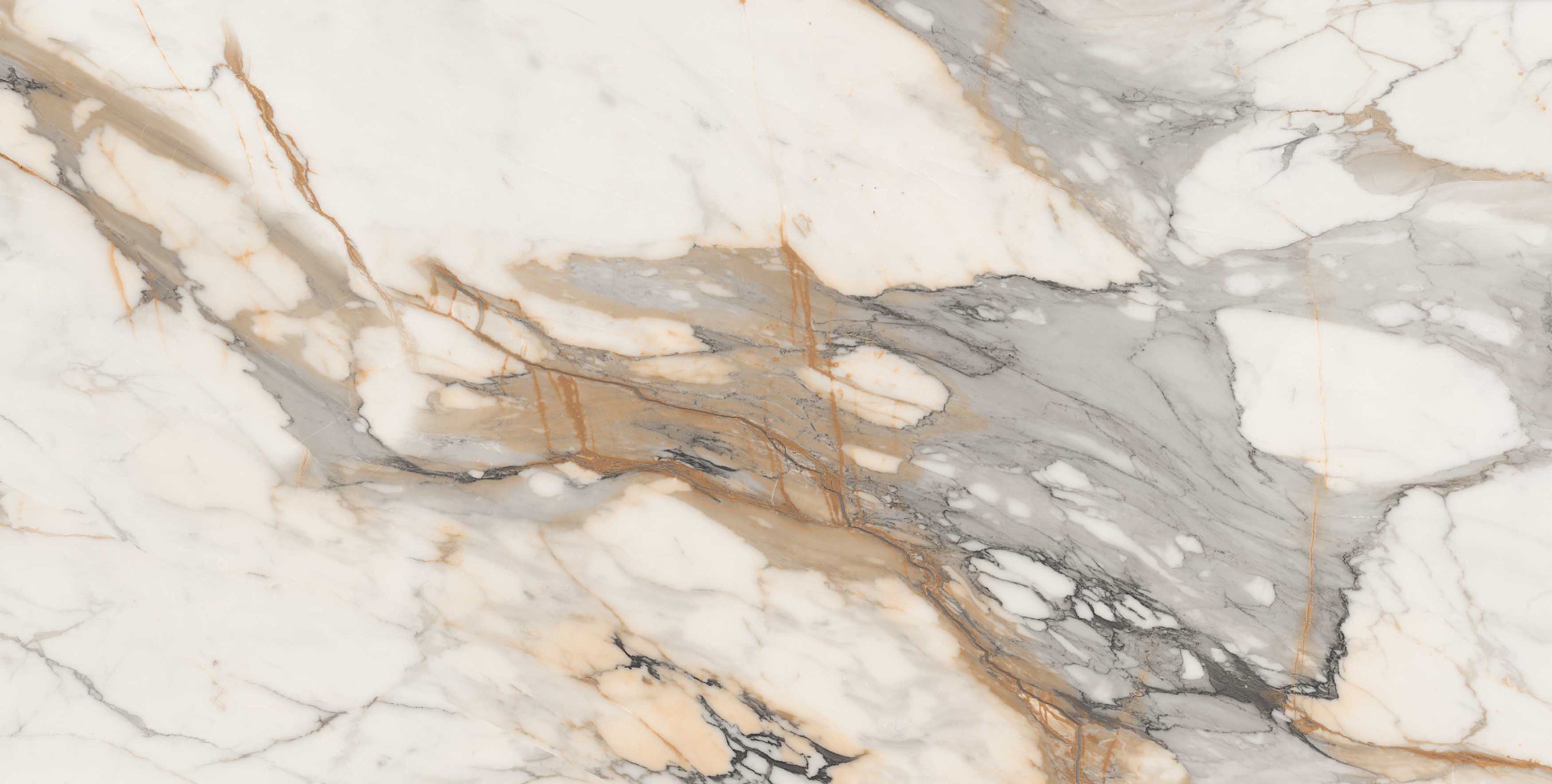 Glossy Finish PGVT Dramatic Calacatta Marble Glazed Vitrified Tiles 600x1200 mm