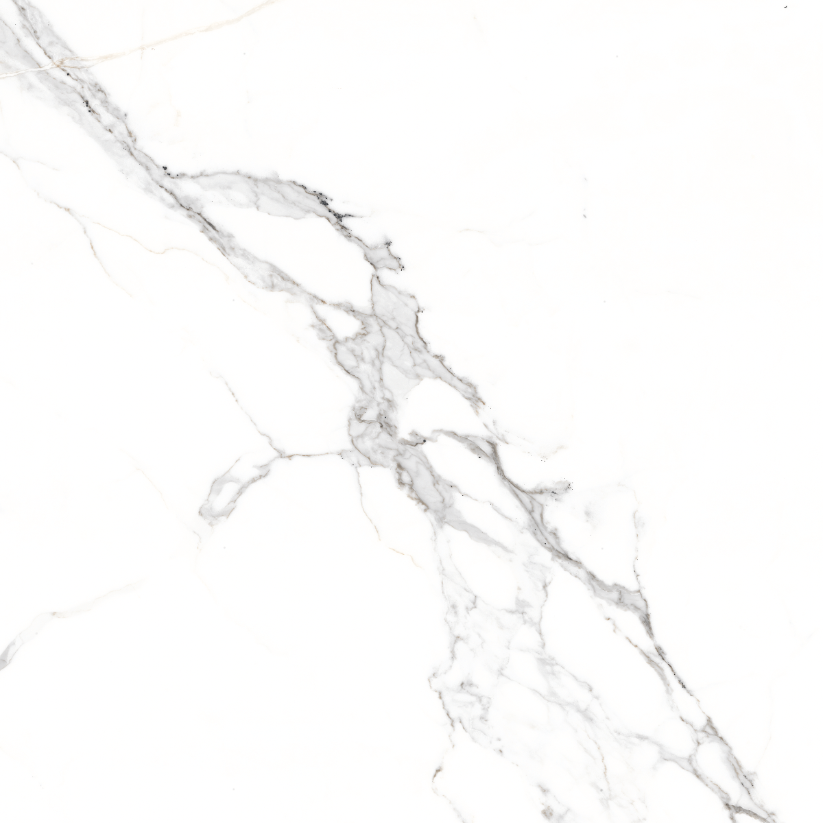Glossy Finish PGVT Elegant Statuario Glazed Vitrified Tiles 600x600 mm