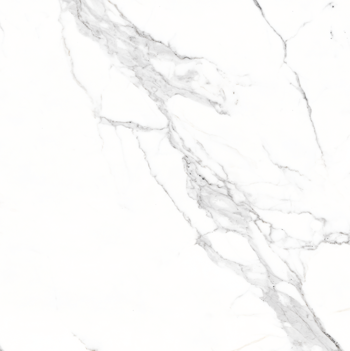 Glossy Finish PGVT Elegant Statuario Glazed Vitrified Tiles 600x600 mm