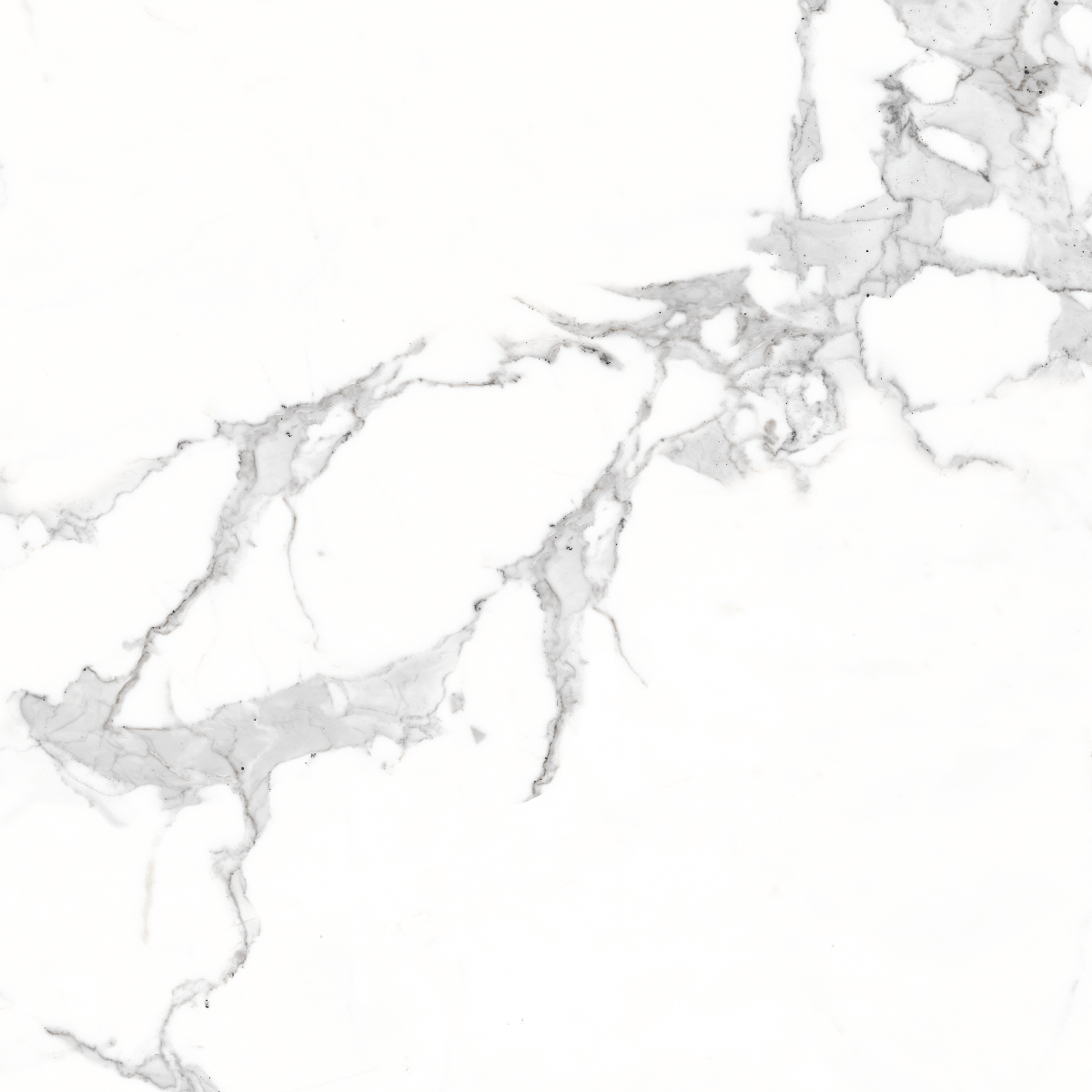 Glossy Finish PGVT Elegant Statuario Glazed Vitrified Tiles 600x600 mm