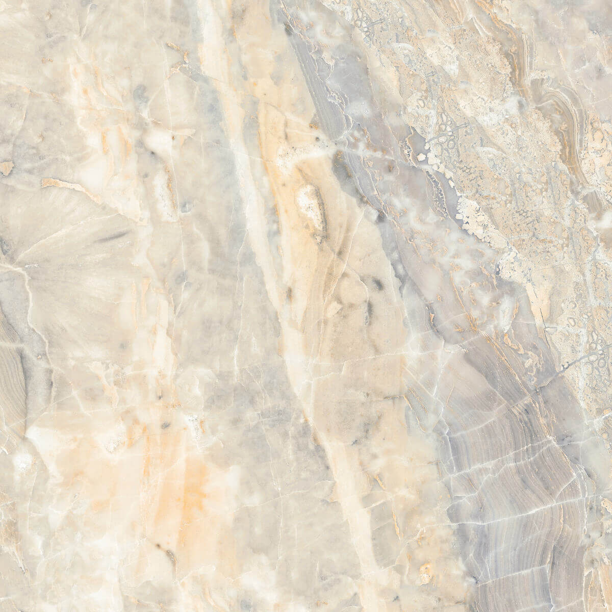 Glossy Finish PGVT Paradise Vitrified tile 600x600 mm
