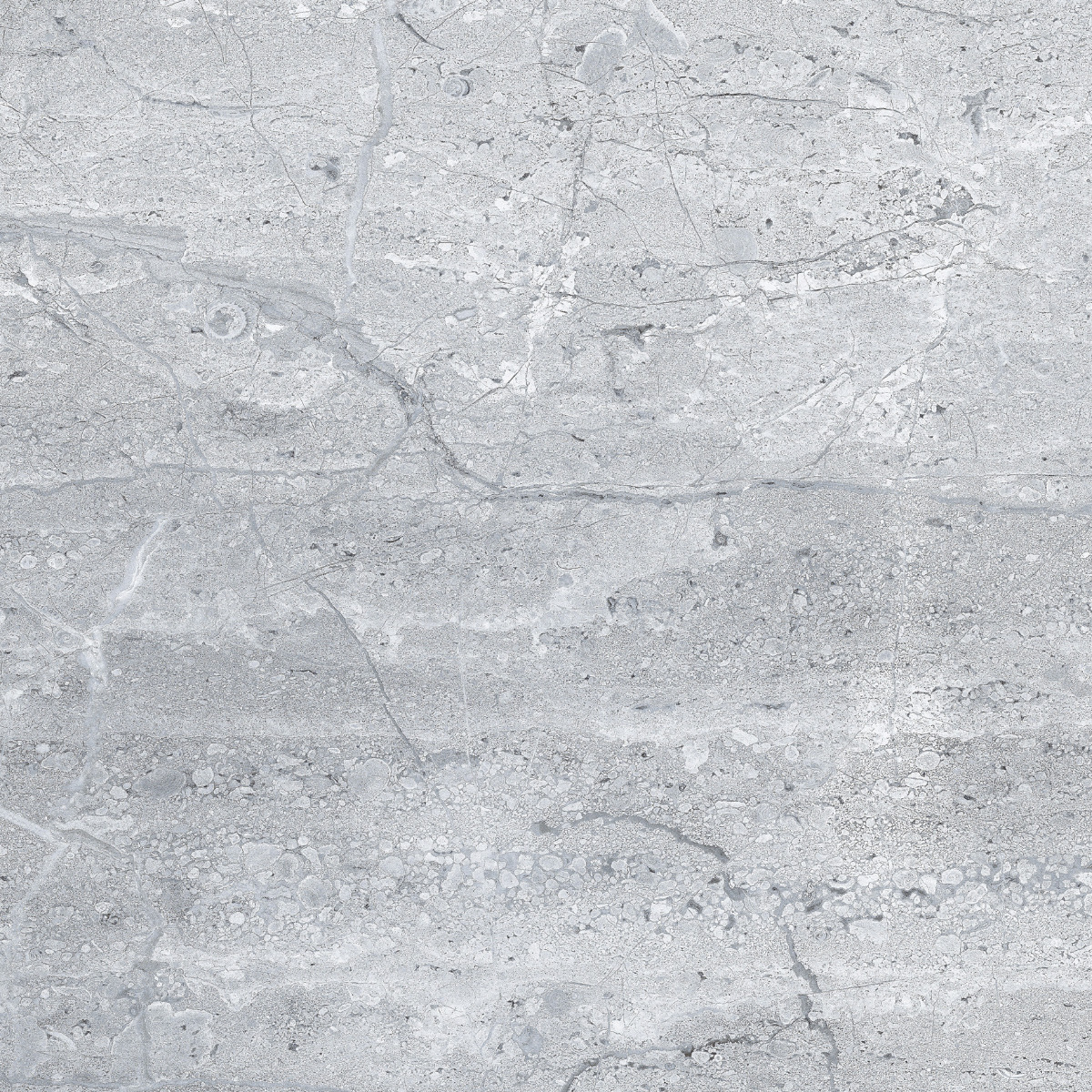 Glossy Finish PGVT Prime Dyna Grey Vitrified tile 600x600 mm