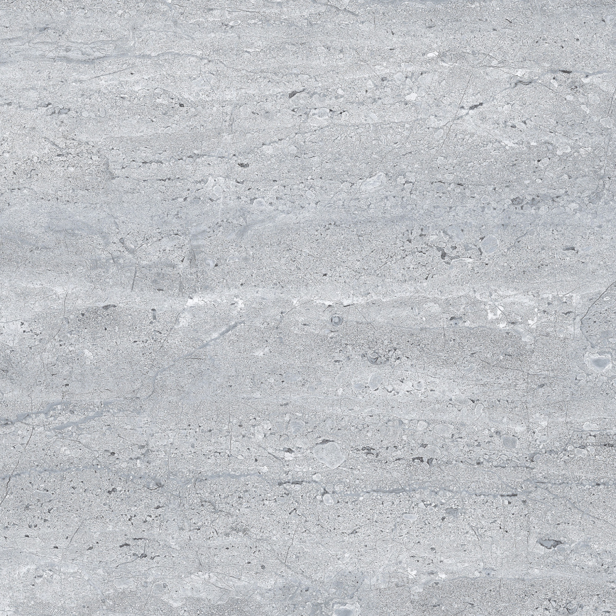 Glossy Finish PGVT Prime Dyna Grey Vitrified tile 600x600 mm