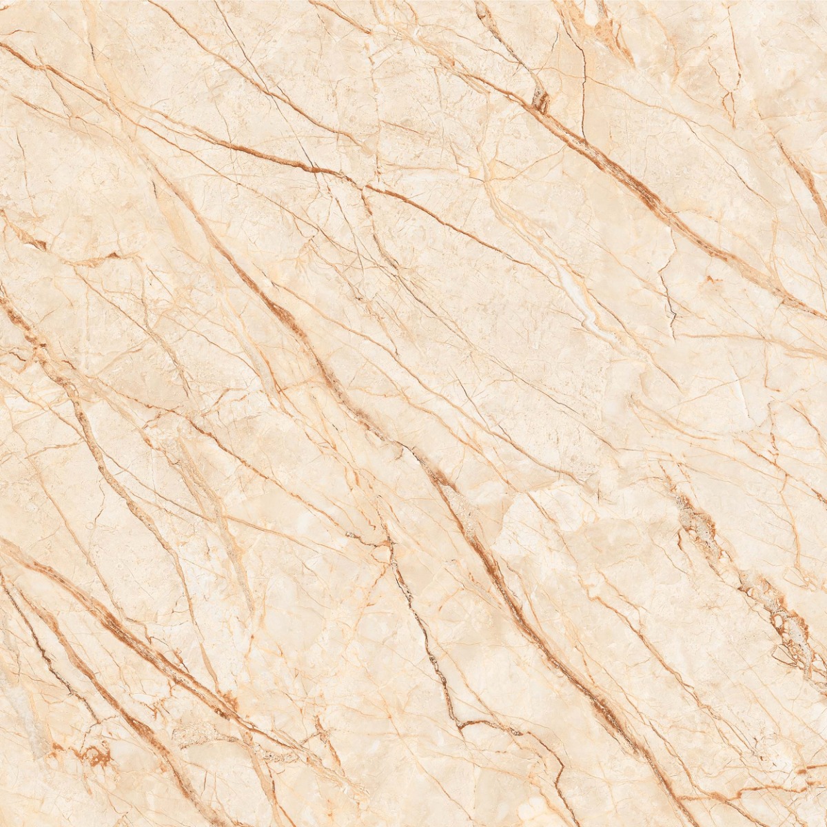 Glossy Finish PGVT Sofitel Gold Vein Marble Glazed Vitrified Tiles 600x600 mm