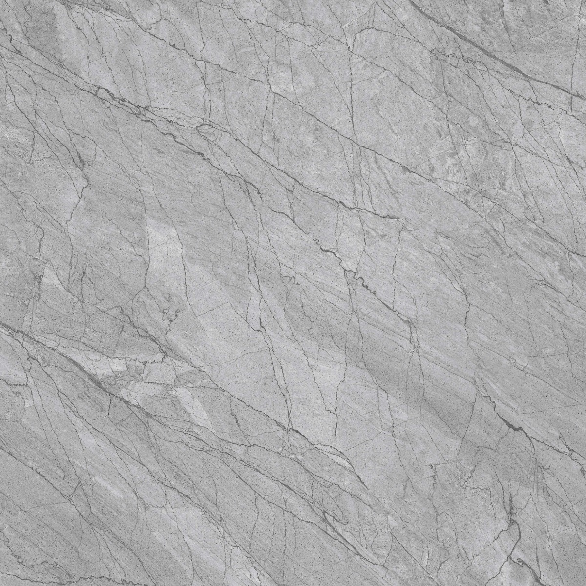 Glossy Finish PGVT Spider Marble Grey DK Glazed Vitrified Tiles 600x600 mm