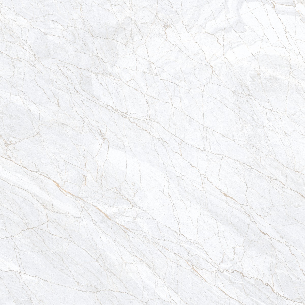 Glossy Finish PGVT Spider Marble Grey LT Glazed Vitrified Tiles 600x600 mm