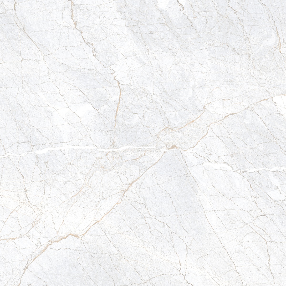 Glossy Finish PGVT Spider Marble Grey LT Glazed Vitrified Tiles 600x600 mm