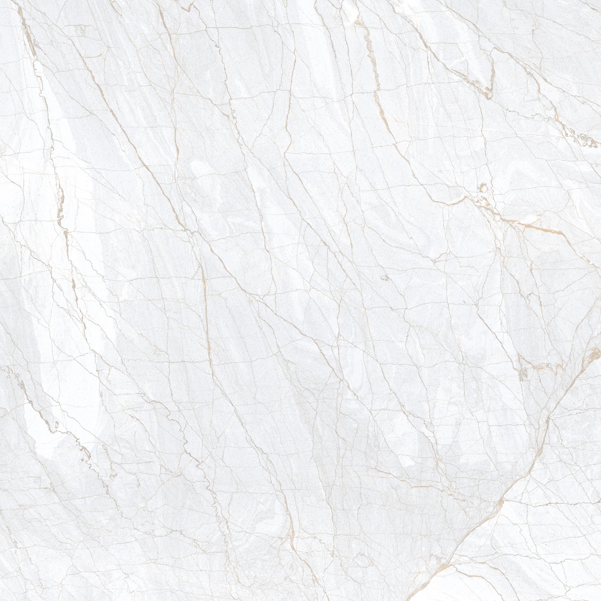 Glossy Finish PGVT Spider Marble Grey LT Glazed Vitrified Tiles 600x600 mm