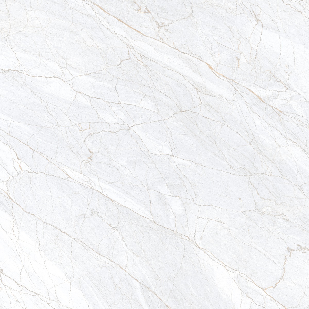 Glossy Finish PGVT Spider Marble Grey LT Glazed Vitrified Tiles 600x600 mm