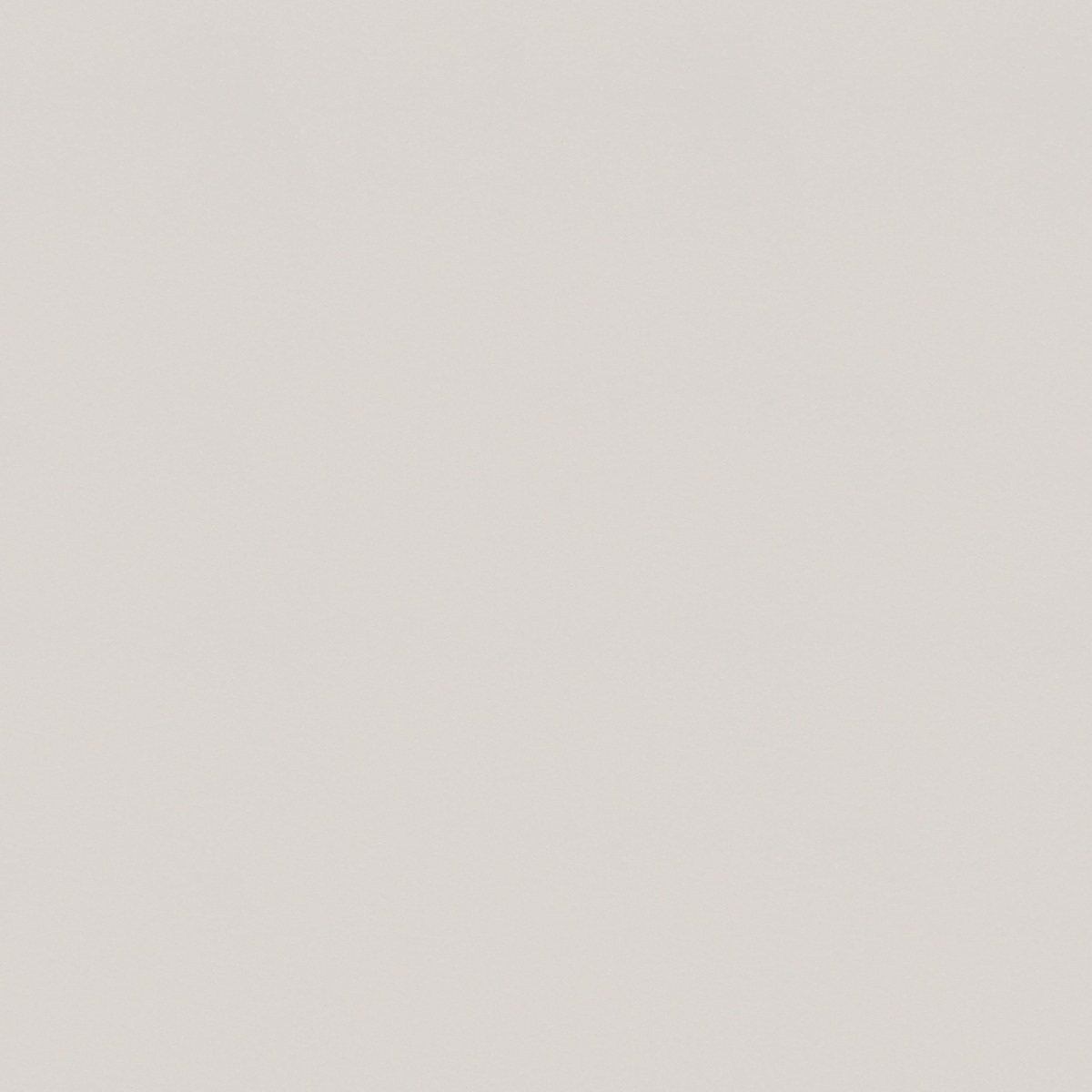Plain Pro EC Silver