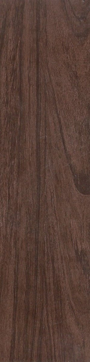 Matte Finish Plank Teak Wenge  Forever tile 145x600 mm