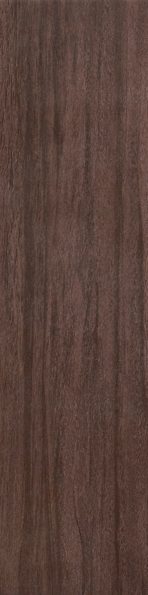Matte Finish Plank Teak Wenge  Forever tile 145x600 mm